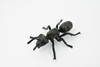 Ant, Common Black Ant, Rubber Insect, Hand Painted, Realistic Toy Figure, Model, Replica, Kids, Educational, Gift,        3 1/2"      CH434 BB109