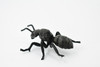 Ant, Common Black Ant, Rubber Insect, Hand Painted, Realistic Toy Figure, Model, Replica, Kids, Educational, Gift,        3 1/2"      CH434 BB109