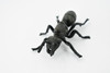 Ant, Common Black Ant, Rubber Insect, Hand Painted, Realistic Toy Figure, Model, Replica, Kids, Educational, Gift,        3 1/2"      CH434 BB109