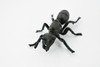 Garden ant, Common Black Ant, Very Nice Design, Educational, Hand Painted, Realistic Rubber Insect, Toy Figure, Diorama Model, Kids, 3 1/2 Inches.