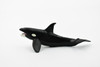 Orca, Killer Whale, Orcinus orca, Marine Mammal, Hand Painted, Rubber, Educational Design, Figure, Diorama Model, Toy, Kids,  3 Inches.  