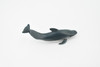 Pilot Whale, Marine Mammal, Rubber Animal, Realistic Toy Figure, Model, Replica, Kids, Hand Painted, Educational, Gift,        3"       CH440 BB109