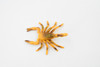 Scorpion, Brown, Arachnids, Very Realistic Rubber Inscect, Figure, Model, Educational, Hand Painted Figurines, Educational, Gift,       2 1/2"  CH441 BB109