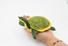 Turtle, Soft Shelled Turtle, Museum Quality, Rubber Reptile, Hand Painted, Realistic Toy Figure, Model, Replica, Kids, Educational, Gift,         7"       CH166 BB112