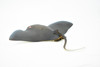 Cownose Ray, Skate, Museum Quality, Educational, Rubber Fish, Hand Painted, Realistic Toy Figure, Diorama Model, Kids, Educational,  7 Inches.