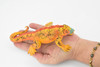 Iguana, Galapagos Marine Iguana, Museum Quality, Rubber Reptile, Hand Painted, Realistic Toy Figure, Model, Replica, Kids, Educational, Gift,      7 1/2"       CH169 BB112