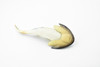 Cephaiaspis, Extinct Fish, Prehistoric, Museum Quality, Rubber Fish, Hand Painted, Realistic Toy Figure, Diorama Model, Kids, Educational,  5 Inches.