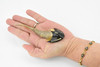 Cephaiaspis, Extinct Fish, Museum Quality, Rubber Bird, Hand Painted, Realistic Toy Figure, Model, Replica, Kids, Educational, Gift,      5"     CH175 BB113
