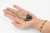 Cephaiaspis, Extinct Fish, Prehistoric, Museum Quality, Rubber Fish, Hand Painted, Realistic Toy Figure, Diorama Model, Kids, Educational,  5 Inches.
