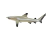 Black Tip Reef Shark, Museum Quality, Hand Painted,  Rubber Fish,  Educational, Diorama Model, Replica, Realistic Toy Figure, Kids, 5 Inches.