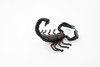 Scorpion, Black and Red, Arachnids, Scorpiones, Museum Quality, Educational, Hand Painted, Rubber Insect, Diorama Model, Realistic, Kids, Toys,  4 Inches.