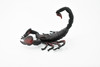 Scorpion, Black and Red, Arachnids, Scorpiones, Museum Quality, Educational, Hand Painted, Rubber Insect, Diorama Model, Realistic, Kids, Toys,  4 Inches.
