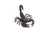 Scorpion, Black and Red, Arachnids, Scorpiones, Museum Quality, Educational, Hand Painted, Rubber Insect, Diorama Model, Realistic, Kids, Toys,  4 Inches.