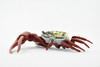 Crab, Fiddler Crab, Rubber Crustacean, Museum Quality, Hand Painted, Realistic Toy Figure, Diorama Model, Replica, Kids, Educational,  4 Inches.  