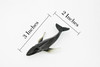 Humpback Whale, Endangered Marine Mammal, Hand Painted, Rubber, Educational Design, Figure, Diorama Model, Toy, Kids,   3 Inches. 