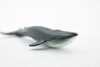 Blue Whale, Endangered Marine Mammal, Hand Painted, Rubber, Educational Design, Figure, Diorama Model, Toy, Kids,  4 Inches. 