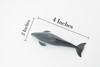 Dolphin, Vaquita Dolphin, Porpoise, Marine Mammal, Rubber Animal, Hand Painted, Rubber, Educational Design, Diorama Model, Toy, Kids,   4 Inches.