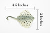 Sting Ray, Spotted Stingray, Museum Quality, Rubber Fish, Hand Painted, Realistic Toy Figure, Diorama Model, Replica, Kids, Educational,  4 1/2 Inches. 