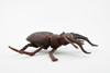 Stag Beetle, Museum Quality, Hand Painted, Educational, Realistic Insect, Toy Figure, Diorama Model, Replica, Kids,   3 Inches.