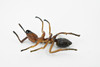 Red Fire Ant, Ginger ant, Very Nice Design, Educational, Hand Painted, Realistic Rubber Insect, Toy Figure, Diorama Model, Kids,  4 Inches. 