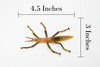 Stick Insect, Phasmatodea, Rubber Insect, High Quality, Hand Painted, Educational, Realistic Toy Figure, Diorama Model, Replica, Kids,  4 1/2 Inches. 