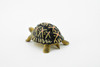 Tortoise, Indian Star Tortoise, Testudinidae, Hand Painted, Realistic Toy Figure, Model, Replica, Kids, Educational, Gift,       2"     CH462 BB114