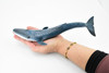 Blue Whale, Marine Mammal, Museum Quality, Hand Painted, Educational, Rubber Animal, Realistic Toy Figure, Diorama Model, Kids, 10 Inches.
