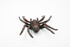 Wolf Spider, Arachnida, Museum Quality, Educational, Hand Painted, Rubber Insect, Diorama Model, Realistic, Kids, Toys, 5 Inches. 