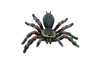 Tarantula Spider, Red Knee, Arachnida, Museum Quality, Educational, Hand Painted, Rubber Insect, Diorama Model, Realistic, Kids, Toys,  5 Inches. 