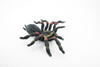 Spider, Tarantula,  Red Knee, Museum Quality, Hand Painted, Rubber Arachnida, Realistic Toy Figure, Model, Replica, Kids, Educational, Gift,      5"     CH193 BB116