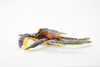 Crab, King Crab, Museum Quality, Hand Painted, Rubber Crustaceans, Realistic Toy Figure, Model, Replica, Kids, Educational, Gift,       5"    CH197 BB117