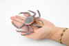 Crab, King Crab, Museum Quality, Hand Painted, Rubber Crustaceans, Realistic Toy Figure, Model, Replica, Kids, Educational, Gift,       5"    CH197 BB117