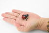 Ladybug, Lady Bug, Beetles, Hand Painted, Rubber Insect, Realistic Toy Figure, Model, Replica, Kids, Educational, Gift,       1 1/4"     CH198 BB117