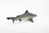  Bull Shark, Carcharhinus leucas, Museum Quality, Hand Painted, Educational, Rubber Fish, Diorama Model, Replica, Realistic Toy Figure, Kids,  6 Inches. 
