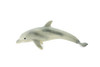Dolphin, Bottlenose, Baby, Calf, Museum Quality, Hand Painted, Rubber Fish, Realistic Toy Figure, Model, Replica, Kids, Educational, Gift,      4"    CH203 BB117