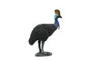 Cassowary, Cassowaries, Dinosaur bird, Museum Quality, Educational, Hand Painted, Rubber Bird, Realistic Toy Figure, Diorama Model, Replica, Kids,  4 Inches.