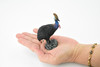 Cassowary, Cassowaries, Dinosaur bird, Museum Quality, Educational, Hand Painted, Rubber Bird, Realistic Toy Figure, Diorama Model, Replica, Kids,  4 Inches.