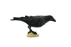 Raven, North America Common Raven, Museum Quality, Rubber Bird, Hand Painted, Realistic Toy Figure, Diorama Model, Replica, Kids, Educational, 3 Inches.