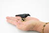 Raven, North America Common Raven, Museum Quality, Rubber Bird, Hand Painted, Realistic Toy Figure, Diorama Model, Replica, Kids, Educational, 3 Inches.