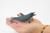 Dolphin, Bottlenose, Museum Quality, Hand Painted, Rubber Mammal, Realistic Toy Figure, Model, Replica, Kids, Educational, Gift,    5"   CH227 BB119