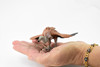 Vulture, Scavenging birds of prey, Museum Quality, Educational, Hand Painted, Rubber Bird, Realistic Toy Figure, Diorama Model, Replica, Kids,  4 Inches.