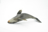 Whale, Gray Whale, Grey Back, Museum Quality, Hand Painted, Rubber Mammal, Realistic Toy Figure, Model, Replica, Kids, Educational, Gift,     7"    CH237 BB121 