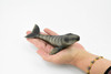 Whale, Gray Whale, Grey Back, Museum Quality, Hand Painted, Rubber Mammal, Realistic Toy Figure, Model, Replica, Kids, Educational, Gift,     7"    CH237 BB121 