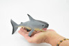 Shark, Great White Shark, Museum Quality, Rubber Fish, Hand Painted, Realistic Toy Figure, Model, Replica, Kids, Educational, Gift,     9"    CH239 BB121