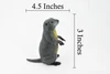 Marmot, Ground Squirrel, Marmota, Museum Quality, Hand Painted, Rubber Mammal, Realistic Toy Figure, Replica, Kids, Educational,  4 1/2 Inches.  