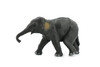 Asian Elephant, Baby, Calf, Museum Quality, Hand Painted, Educational, Rubber Animal, Realistic Toy Figure, Diorama Model, Kids, 4 1/2 Inches.