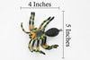 Giant Tarantula Spider, Arachnida, Museum Quality, Educational, Hand Painted, Rubber Insect, Diorama Model, Realistic, Kids, Toys,  5 Inches. 