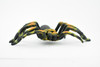 Spider, Tarantula, Museum Quality, Hand Painted, Rubber Arachnida, Realistic Toy Figure, Model, Replica, Kids, Educational, Gift,      5"     CH246 BB122