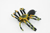 Spider, Tarantula, Museum Quality, Hand Painted, Rubber Arachnida, Realistic Toy Figure, Model, Replica, Kids, Educational, Gift,      5"     CH246 BB122