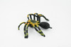 Giant Tarantula Spider, Arachnida, Museum Quality, Educational, Hand Painted, Rubber Insect, Diorama Model, Realistic, Kids, Toys,  5 Inches. 